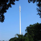 Επαγγελματικοί πύργοι τηλεπικοινωνιών, μεταμφιεσμένος πύργος δέντρων πεύκων